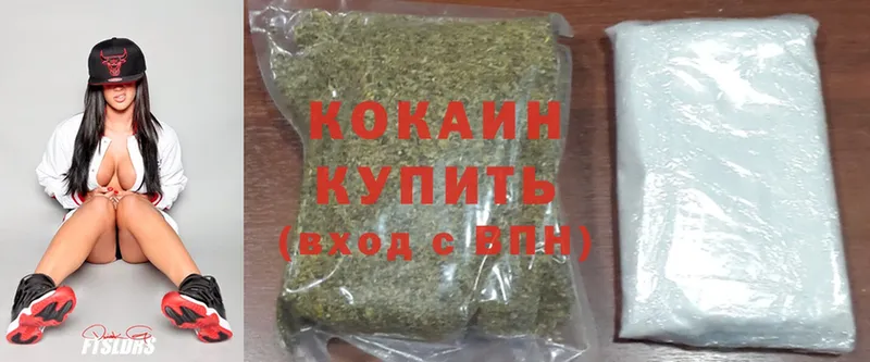 shop какой сайт  купить наркоту  Лобня  Cocaine Fish Scale 